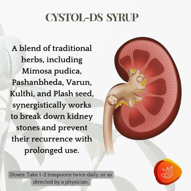 Cystol-DS Syrup for kidney Stones