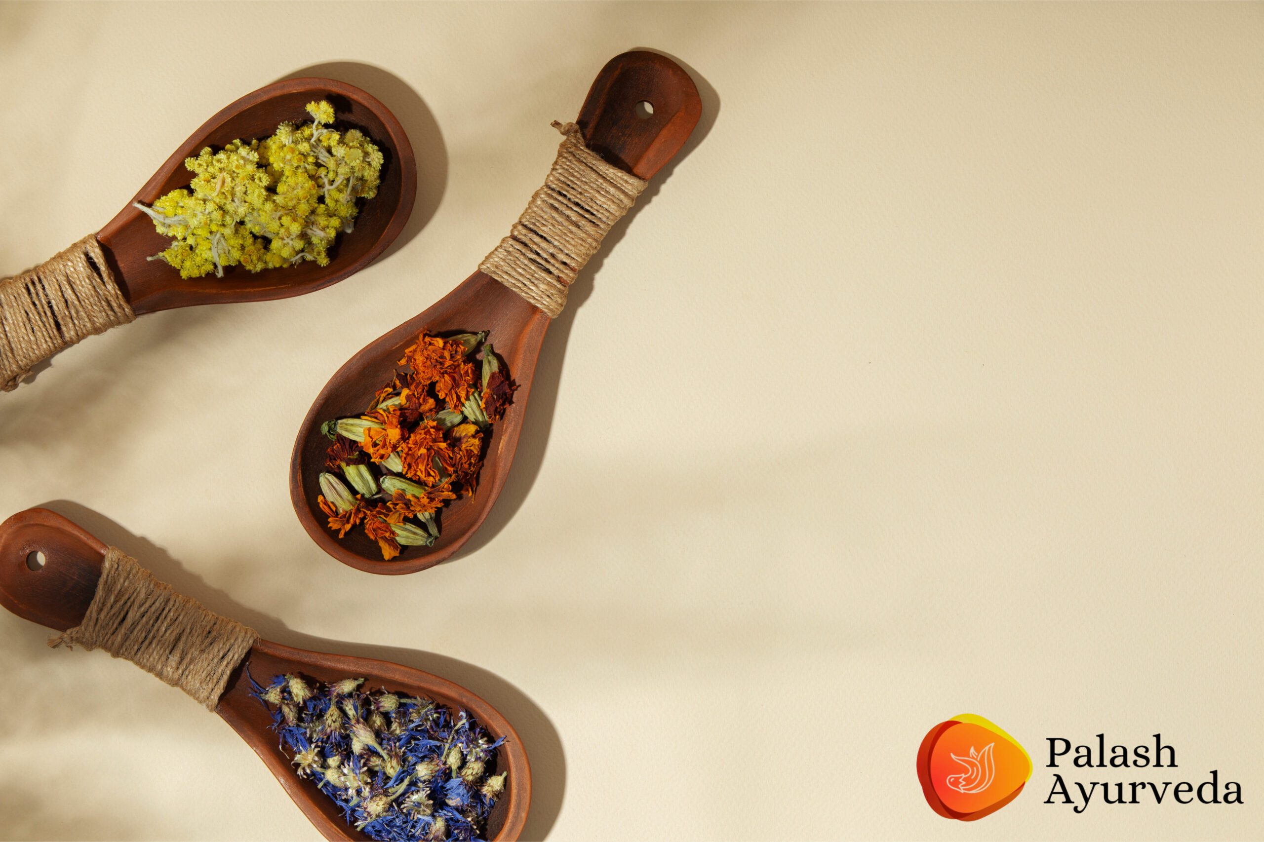 Unlocking the Secrets of Ayurveda: Transform Your Well-being with Palash Ayurveda