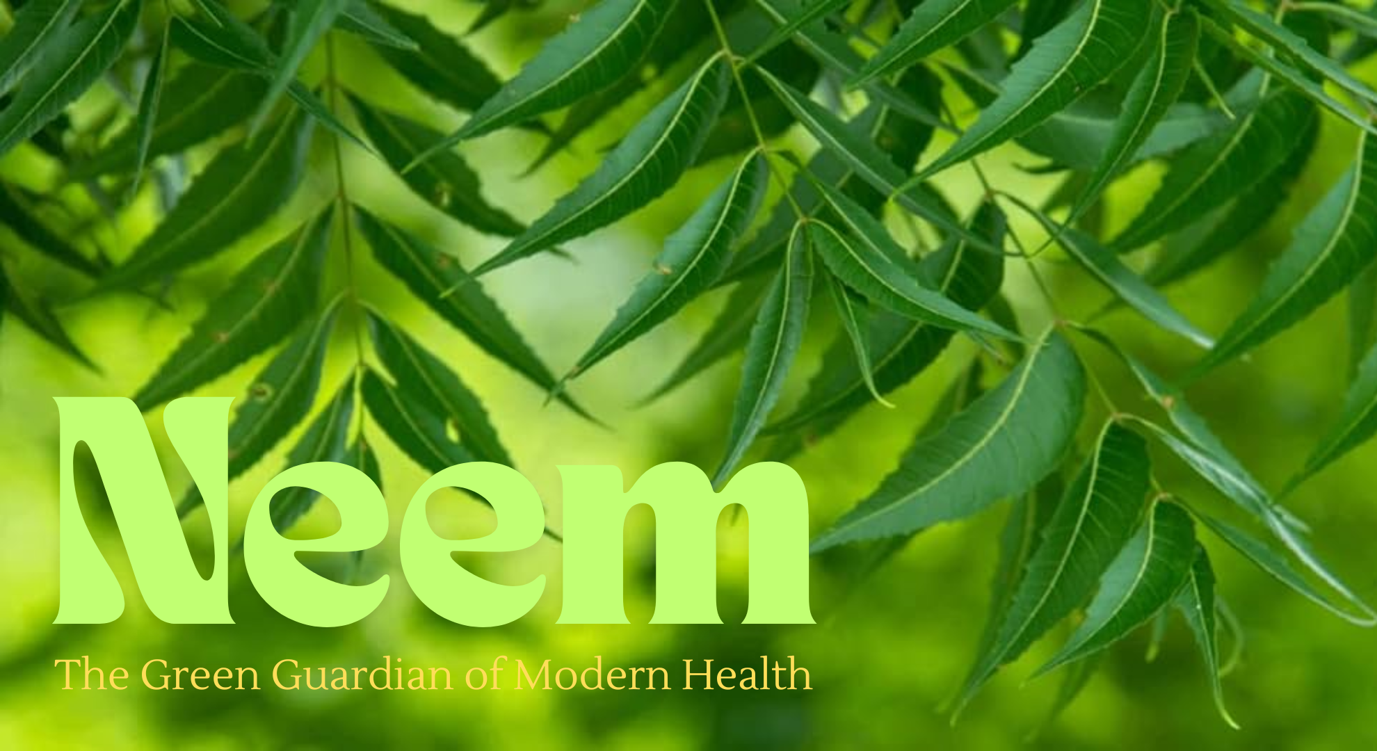 Neem in Modern Life – Detox, Glow & Protection