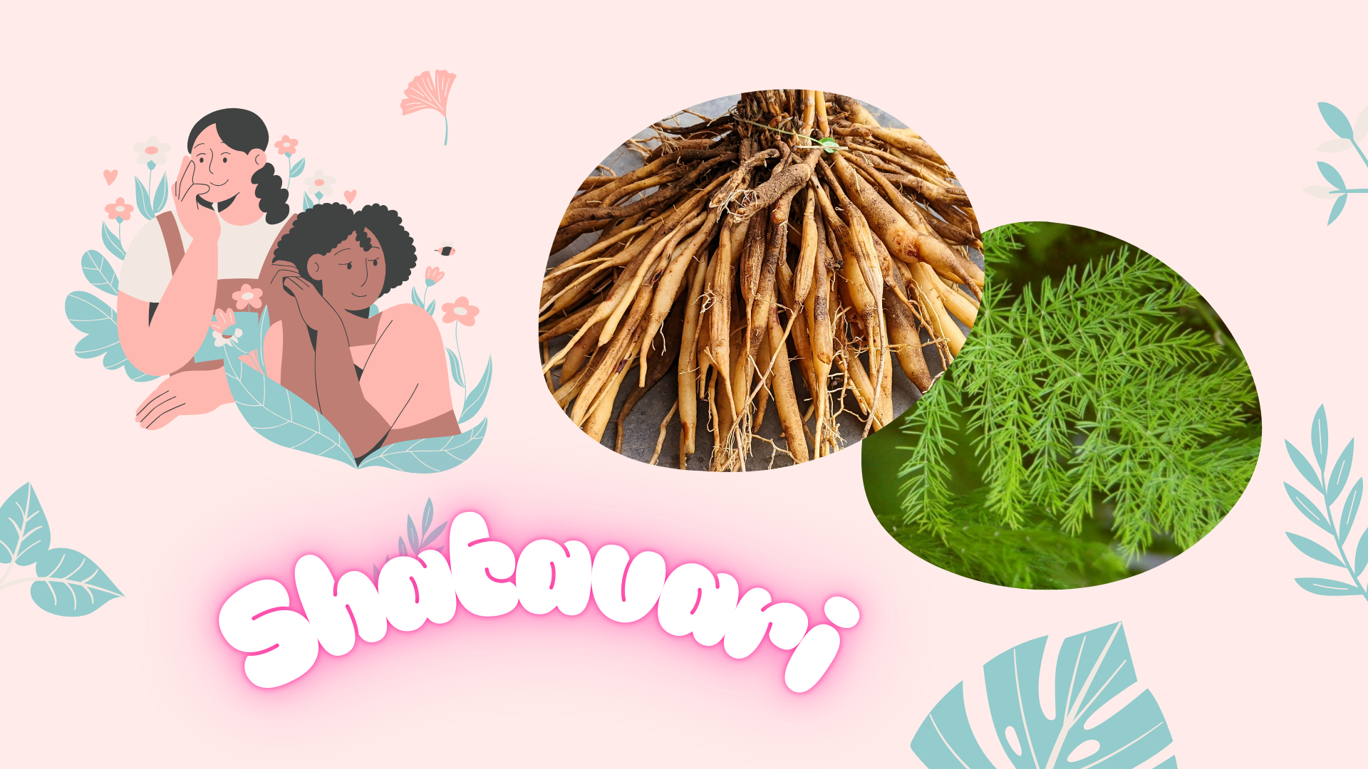 Shatavari in Ayurveda: A Woman’s Lifelong Ally