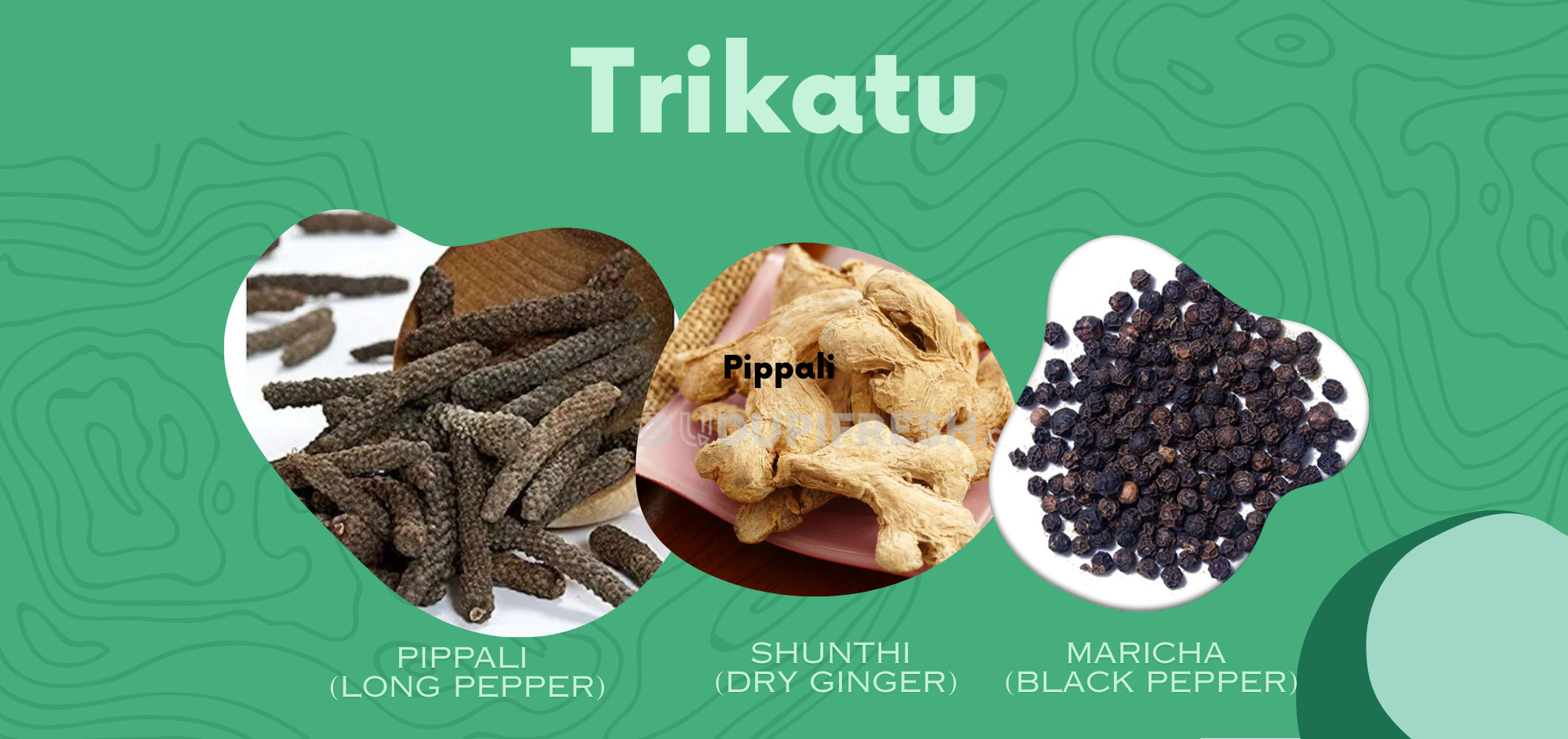 Trikatu: The Ayurvedic Blend for Digestion & Metabolism