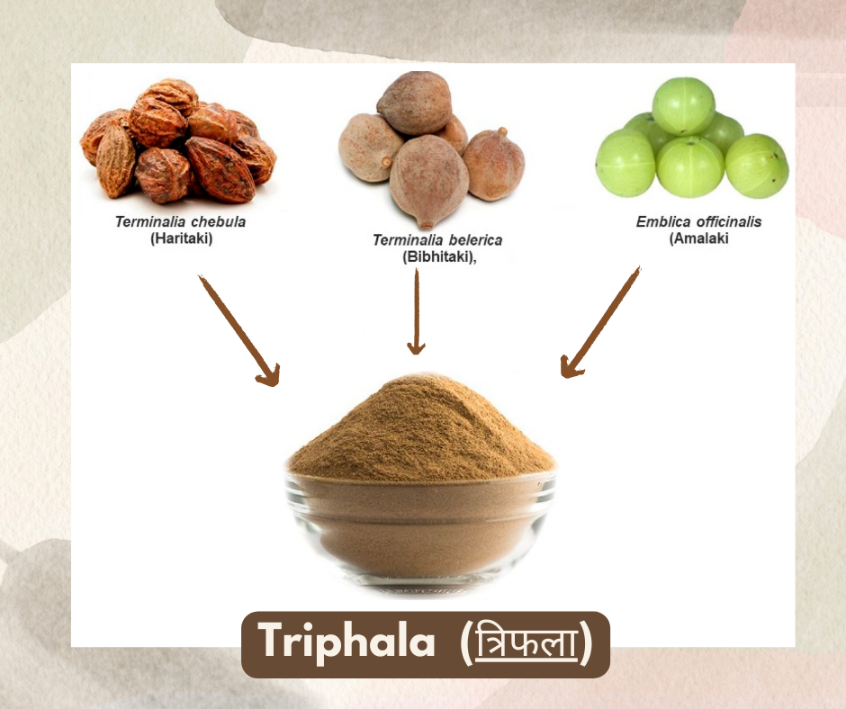 Triphala – Ayurveda’s Timeless Secret to Complete Wellness