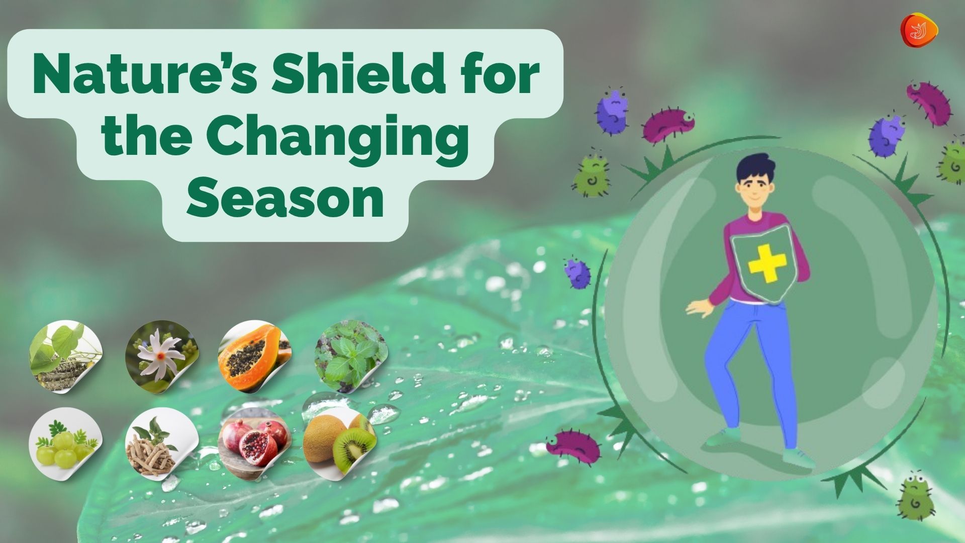 Stay Strong This Season: Ayurveda’s Natural Shield for Immunity